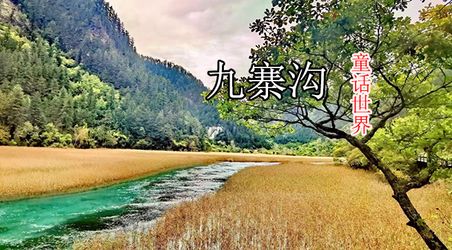 【動(dòng)車(chē)團(tuán)】＜峨眉山+樂(lè)山大佛+九寨溝+黃龍全景動(dòng)車(chē)純玩4日游＞雙動(dòng)貫穿四川4大世界遺產(chǎn)，旅游團(tuán)行程更輕松